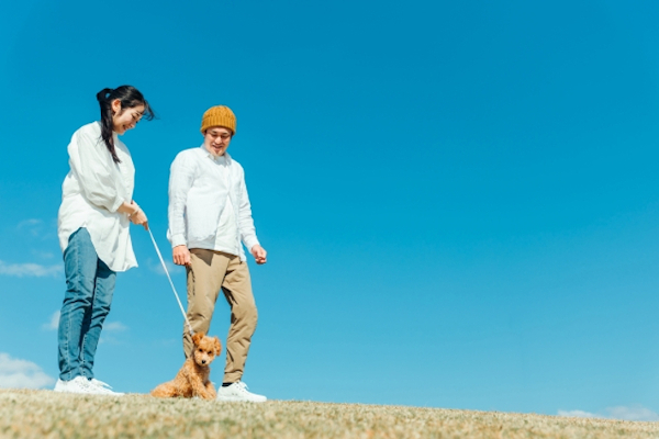 夫婦で犬の散歩する二人
